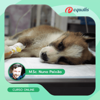 Fluidoterapia Veterinária e Hemodinâmica nas Emergências