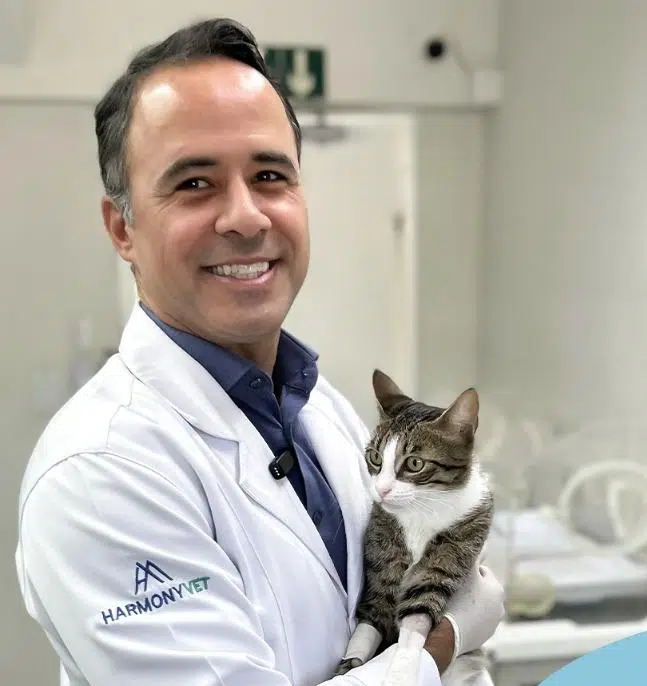 M.Sc. Danyel Segundo