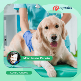 A Arte de Estabilizar um Paciente na Urgência