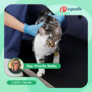 fisioterapia veterinária felina