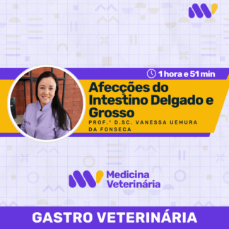 Afecções do Intestino Delgado e Grosso em Cães e Gatos