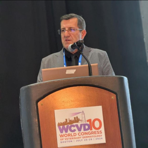 Dr. Ronaldo Lucas - Médico Veterinário Dermatologista