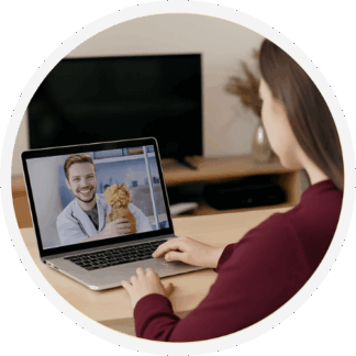 Cursos Online em Medicina Veterinária