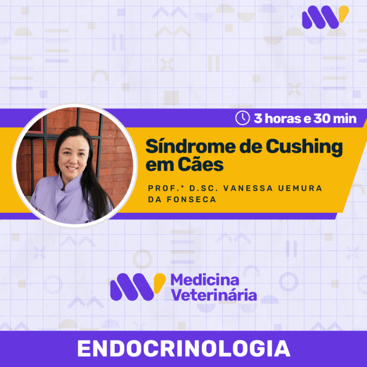 Síndrome de Cushing em Cães