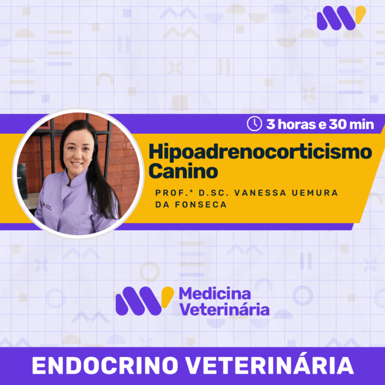 Hipoadrenocorticismo Canino