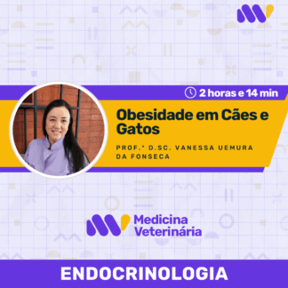 Obesidade em Cães e Gatos