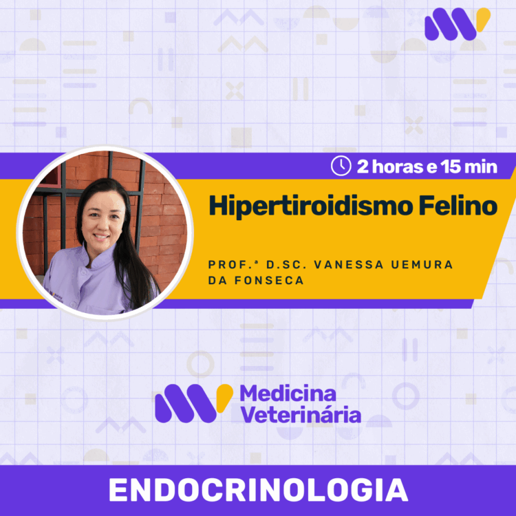Hipertireoidismo Felino