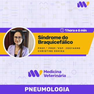 Síndrome do Braquicefálico