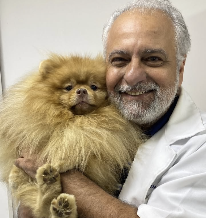 Prof.ª M.Sc. Romeika Reis