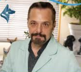 Prof.ª M.Sc. Romeika Reis